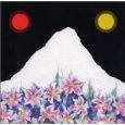 Akihiro Kameya
