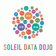SOLEIL DATA DOJO