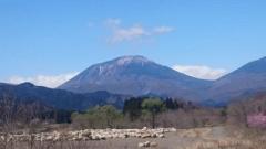 farcone