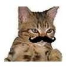 as_chachamaru