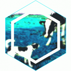 Yabre_Kabre
