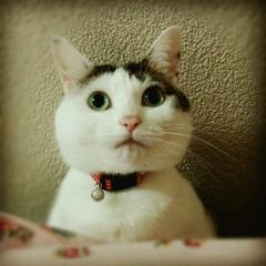 sakiko427