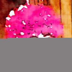 toru_inoue